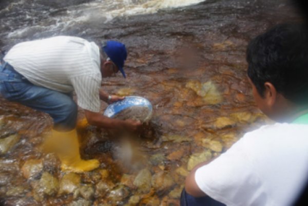 Proyecto de Oro/Cobre en Yantzaza Ecuador