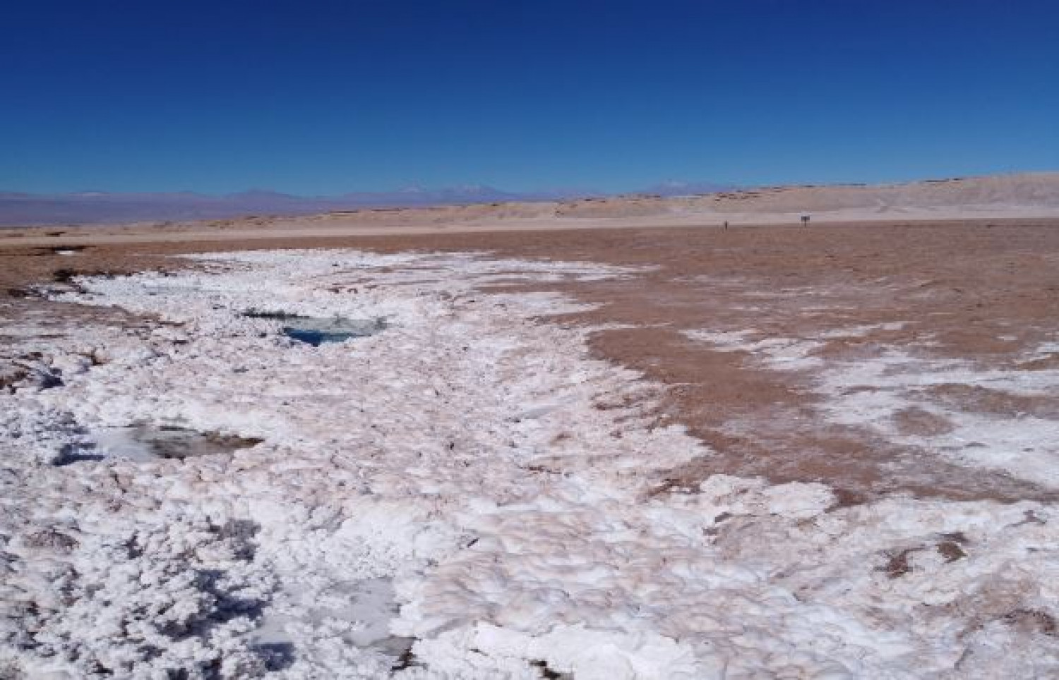 Proyecto de Litio/Potasio en San Pedro de Atacama